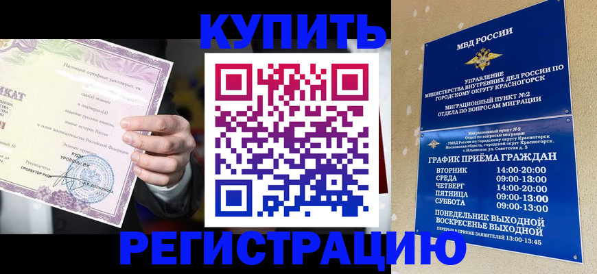 временная регистрация собственник в Североморске